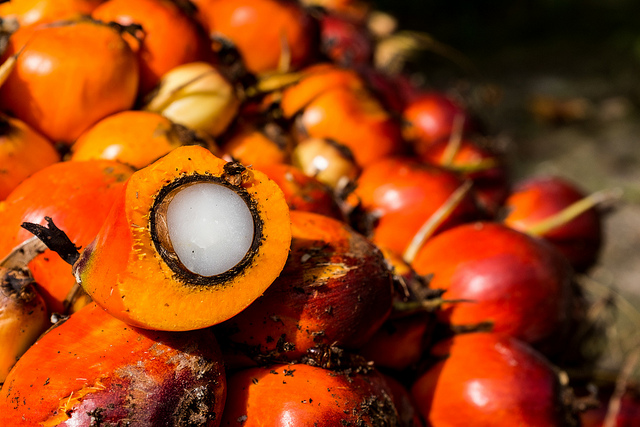 Palm Candy Benefits